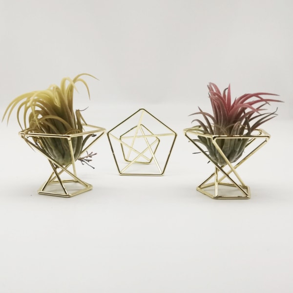 Bromeliad Växtställ Geometrisk Luftväxtställ Dammpuffställ - Roséguld (Material: Metall, Storlek: Diameter 55MM, Höjd 45MM)