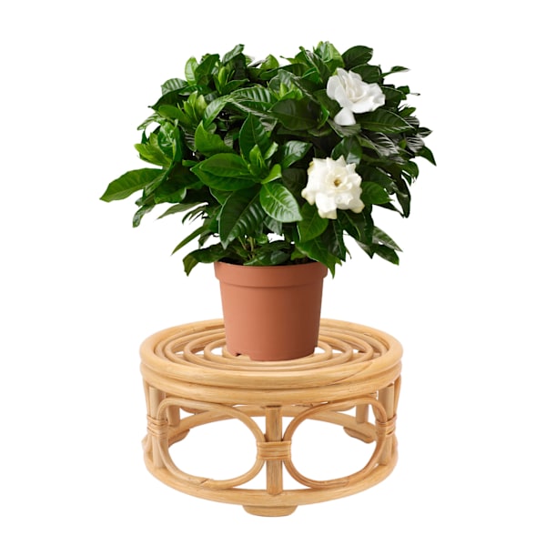 Rattan Växtställ för inomhus Rund Form Naturlig Växtställ Handgjord Rattan Planteringsställ för Hem Trädgård Gräsmatta Stor