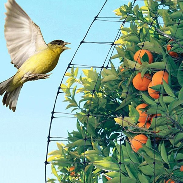 1 set trädgårdsskydd mot fågelnät lämpligt för växter, frukter, träd och grönsaker skyddsnät svart 2*6m