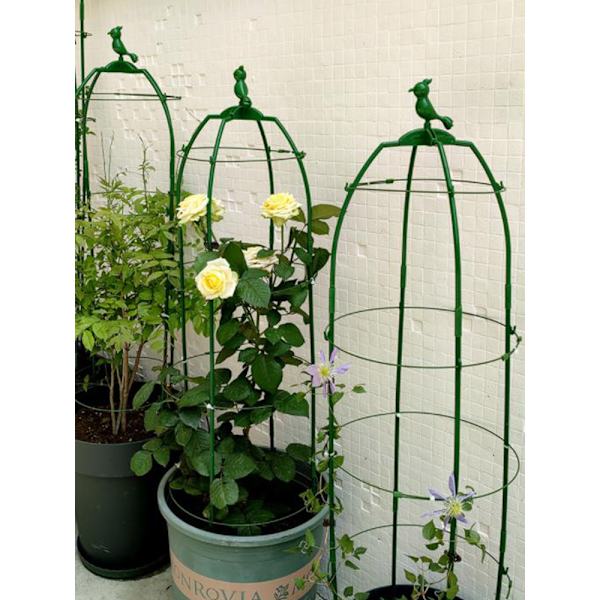 Rose-klematis-stativ, vindmølle, jasmin, vin, europæisk måneblomst-stativ, justerbar diameter og højde (80CM grøn)