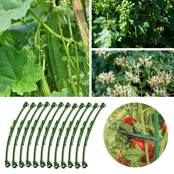 12 stk. tomatobur-gitterstativ-forbindelser (grøn) (enkelt længde 25,4 cm)