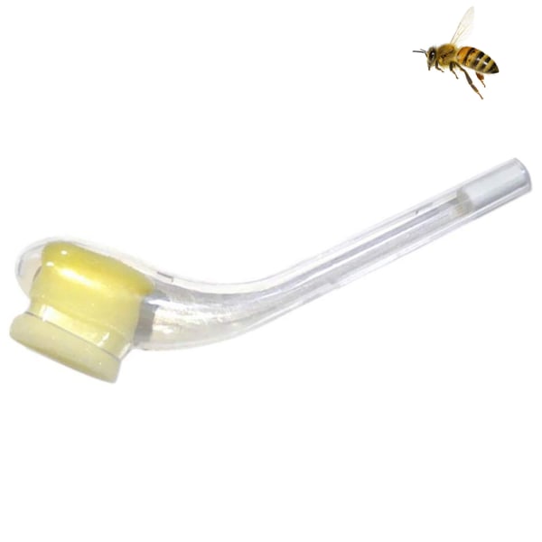 Putkityyppi Bee Queen Catcher Queen Bee pyyntityökalu Mehiläishoitotyökalu
