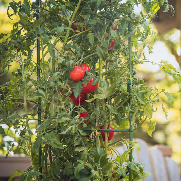 12 stk. tomatobur-gitterstativ-forbindelser (grøn) (enkelt længde 25,4 cm)