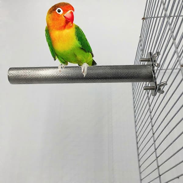 Fugle Pind Rustfrit Stål Stativ til Undulater Conures Budgies Dværgpapegøjer 25 cm lang