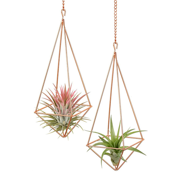 (Sort + kæde længde 17,5 cm) Luft ananas blomsterstand kan hænges med metal materiale.