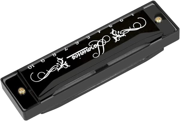【bt02】Blues Harmonica, Diatonic Blues Harmonica in C-key, 10 Hole 20 Tone Blues Harp Harmonica (Rose Red) black