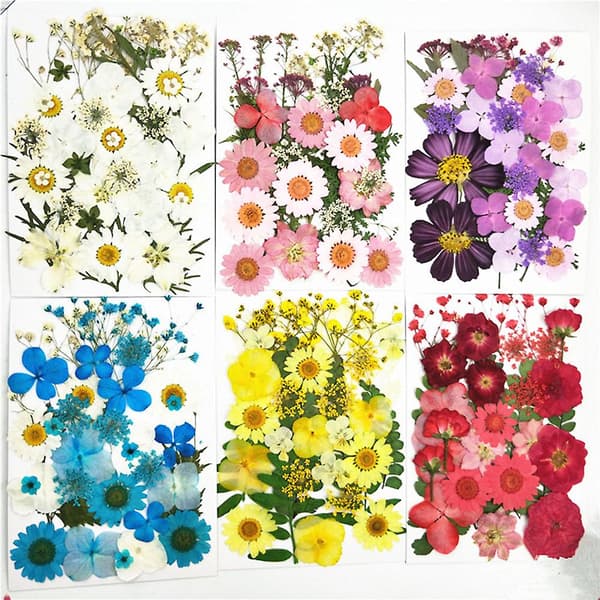 DIY Tørrede Blomster Materialesæt Mode Presset Blomster Plante Håndværk til Sæbefremstilling Combination pack 1