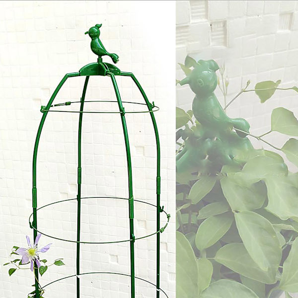 Rose-klematis-stativ, vindmølle, jasmin, vin, europæisk måneblomst-stativ, justerbar diameter og højde (80CM grøn)