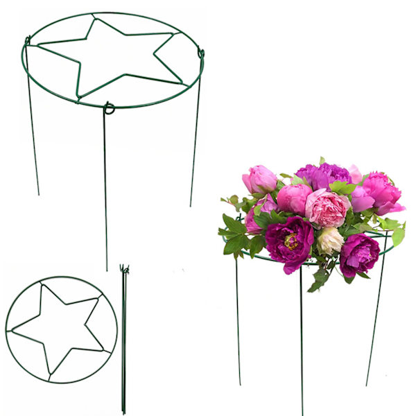 (1 pakkaus) Musta Puutarhan Kasviteline Puutarhan Kiipeilyteline Kukkateline Rauta Metalli Pioniteline Sisä- ja Ulkokäyttöön Kiinteä Tanko 30*45cm, Rauta Taide