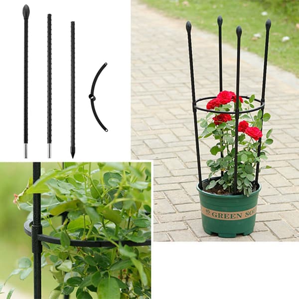 Patchwork Hageplante Espalier Plantestøttesett Konisk Formet Wire Cage