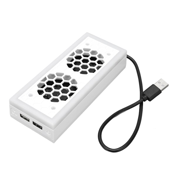 Spelkonsolkylare med Justerbar RGB-belysning, Dockningsstation med 2 Extra USB-portar för XBOX Series S