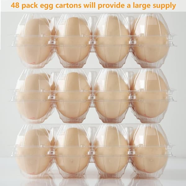 Bulk Plastic Egg Cartons, 100-Pack Empty Clear Plastic Egg Cartons Hold Up to 12 Eggs, Reusable Chicken Egg Holders