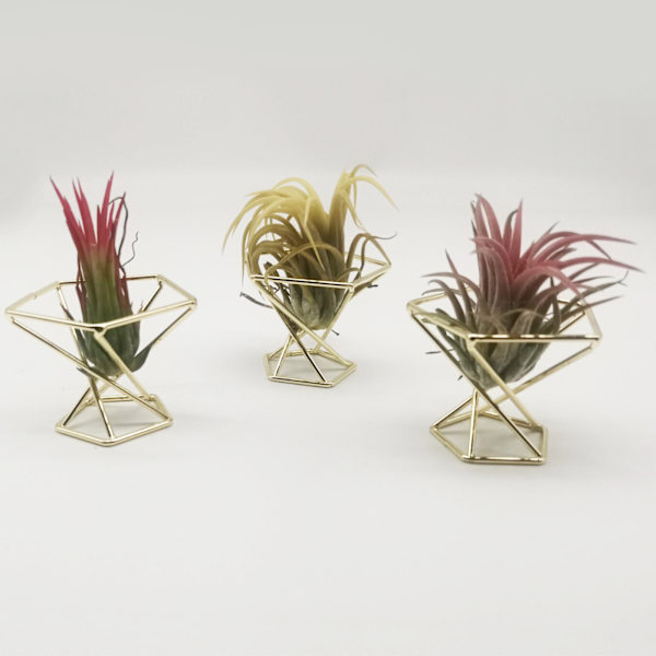 Bromeliad Plante Stativ Geometrisk Luftplante Stativ Pudderpuff Stativ - Roségull (Materiale: Metall, Størrelse: Diameter 55MM, Høyde 45MM)