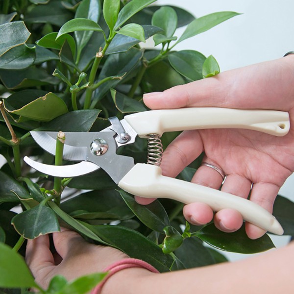 Ruostumattomasta teräksestä liukastumista estävä puutarhanhoito oksasakset sakset leikkaustyökalut set puuleikkuri Kotityökalut