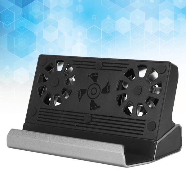 Spillkonsoll Dokkingsstasjon 4K 60Hz 100W USB3.0 USB2.0 Gigabit RJ45 HD Multimedia Interface 2.0 Port 10 i 1 Dokk Stativ for Steam Deck V262A