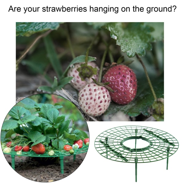 Jordbærstøtte for planting av jordbær, diameter 30 * høyde 9 cm