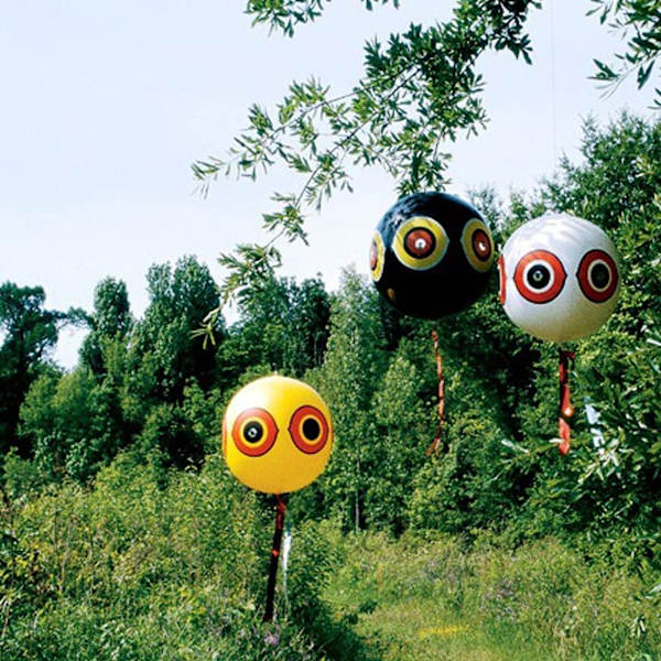 PVC-ilmapallo pelottava silmäpallo lintujen karkotin pallo maatilalle puutarhaan rannalle lintujen pelätin pallo 3-osainen setti 60*40cm kielletty Yhdysvalloissa