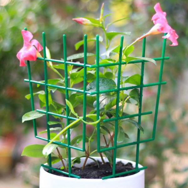 Plastik plante støtte ramme, plante klatrebrakett - 3 stk klatrebraketter (materiale: plast, størrelse: 30*19cm)
