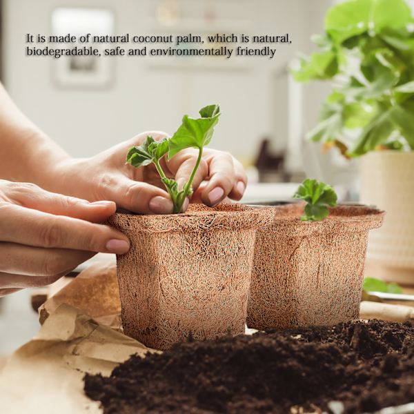 6 stk. pakke med kokosnøddespalme firkantede frøplantekopper - enkelt nedre diameter 6 cm øvre diameter 10 cm høj 9 cm