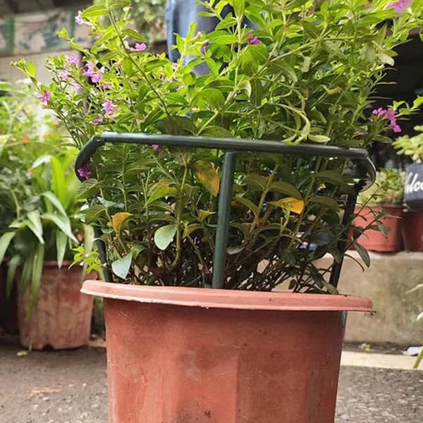 Växtstöd påle halvcirkelformad plast växtklätterram 6-delars set 25*14.5cm