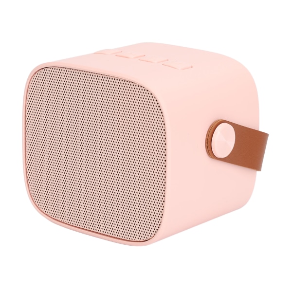 Mini Karaoke Machine Mini Karaoke Bärbar Bluetooth högtalare med 2 trådlösa mikrofoner för barn Vuxna Rosa