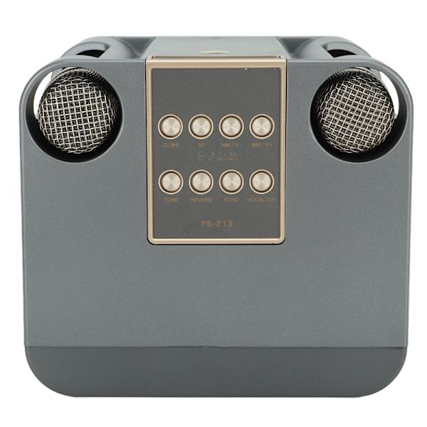 YS213 Sångmaskin Bärbar Sånghögtalare Svart Lätt Vikt Ljud Stereo Högtalare Mikrofonset för Hemmöte Fest
