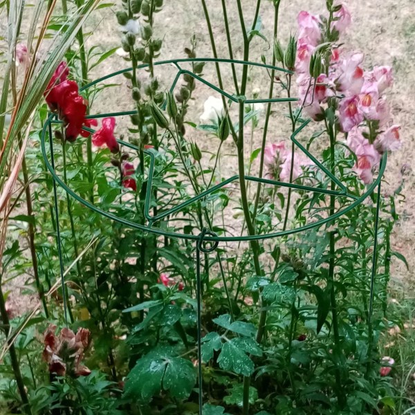 Haveplante Stativ Klatrestativ Blomsterstativ Jern Metal Jordbærstativ Indendørs og Udendørs Fast Pæl Guld