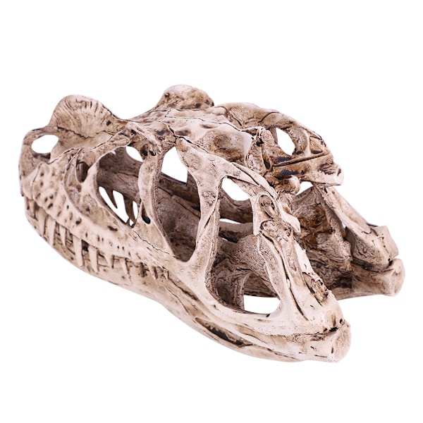 Resin Dinosaur Skull Model: Realistisk Dyreskelet til Hjem og Kontor Dekoration, Håndværk og Uddannelsesmæssig Visning