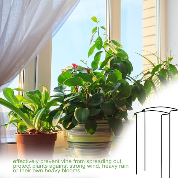 (2 kpl Leveys 20 * Korkeus 35cm) Kasvien tuki Viiniköynnös Ruusu Klematis Kiipeily Pergola Puutarhan Kasvi Kukkakoriste Parvekkeen Ruukku Kasvi Tukikehikko