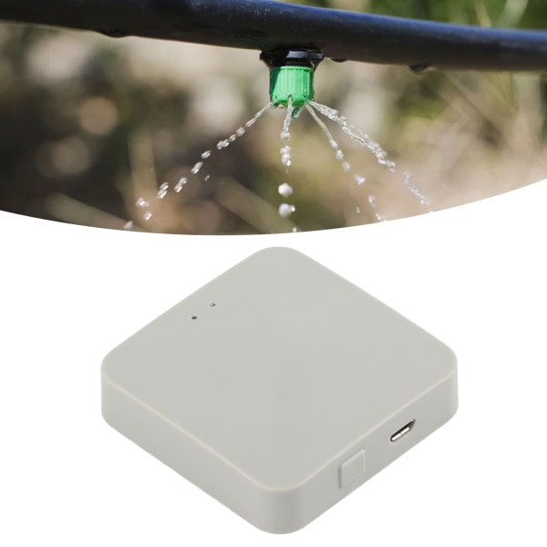 5V USB Vandingsgateway Havevandings Bluetooth WiFi Gateway til Zigbee