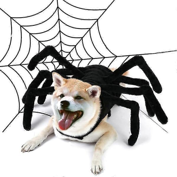 Halloween-kostumer til kæledyr, inklusive katte, hunde og edderkopper; nye rollespilskostumer. XL