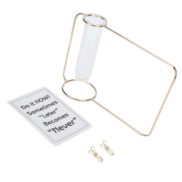 Innovativ Hängande Växtkruka Testtube Transparent Hydroponisk Växtvas för Hemmet IndoorGold