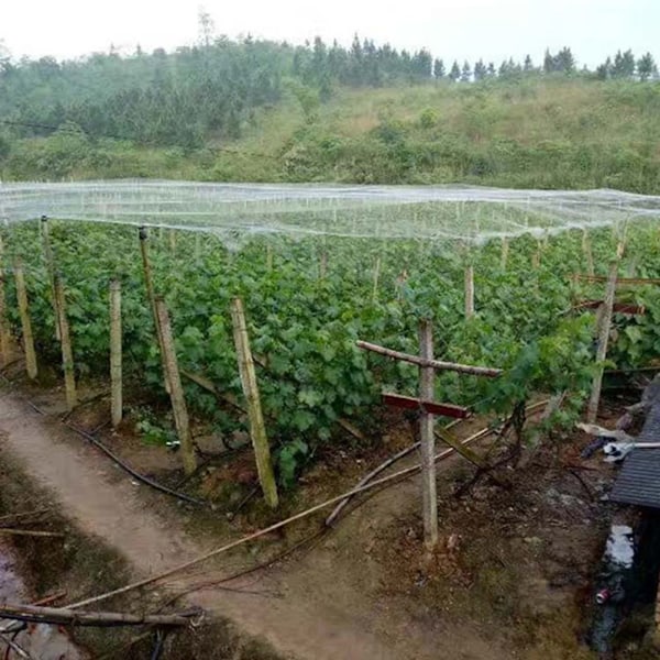 Fuglenet til Haveplanter Dækker Net Frugttræer Grøntsager Beskyttelse Have Mesh Net Hvid 1,8 X 7,6M
