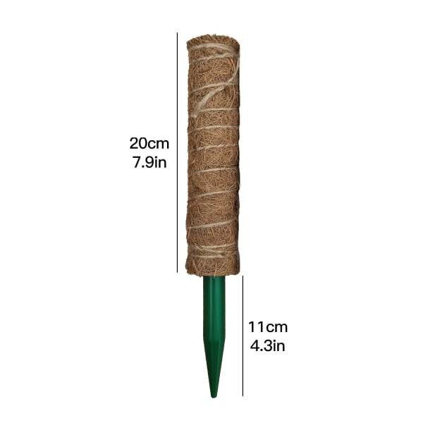 Växtklätterstång ny kokosnötpalmsticka 52 cm kan skarvas