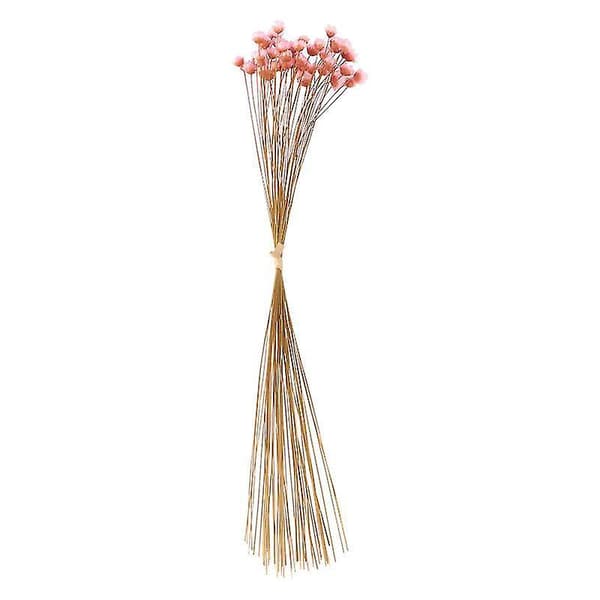 50 st Torkade Blommor