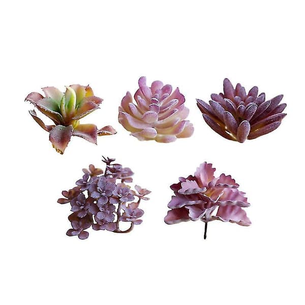 5 stk. Simulering av sukkulent blomst