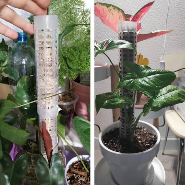 Mosstativ 25cm Plastik Kokosnød Mose Totemstang til Plantestøtter og Støtter Klatrende Indendørs Planter
