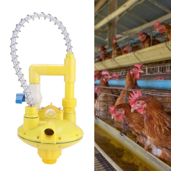 Automatisk dricksvattenledningsregulator tryckreduceringsventil för odlad kyckling