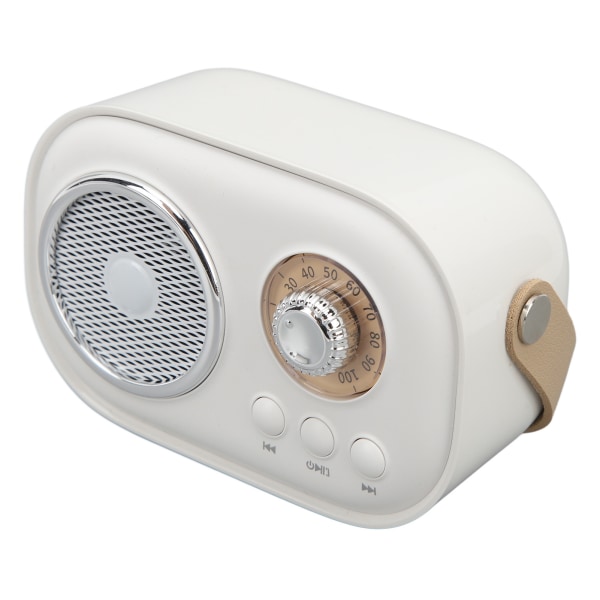 Bärbar Bluetooth högtalare med mikrofon Uppladdningsbar handhållen karaokemaskin för hemmafest Vit