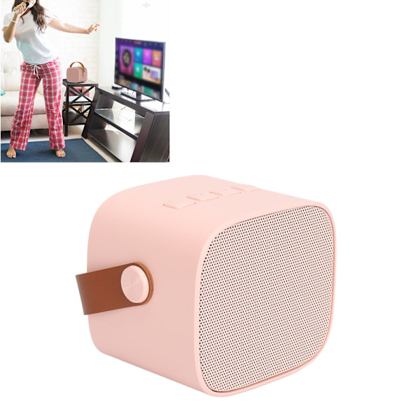 Mini Karaoke-maskin Bärbar Bluetooth-högtalare med 2 Trådlösa Mikrofoner för Barn Vuxna Rosa