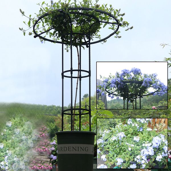Saml paraplyformet blomsterstand og pergola - total højde 180 cm