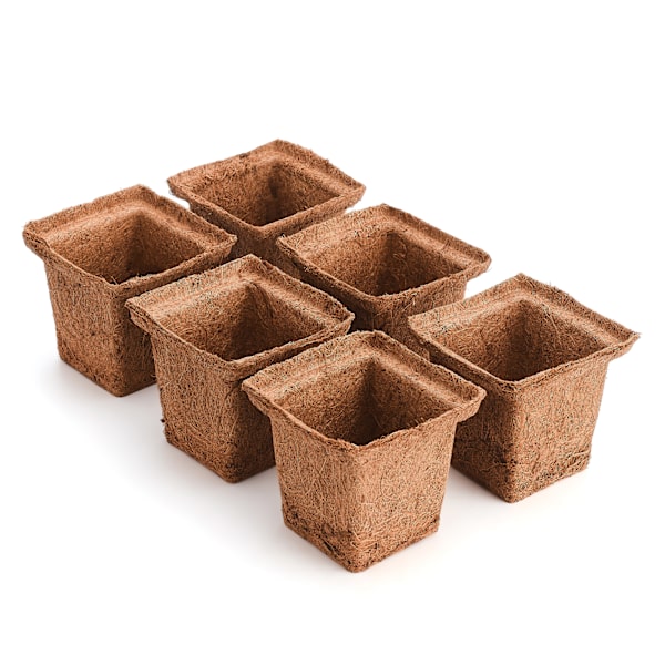 6 stk. pakke med kokosnøddespalme firkantede frøplantekopper - enkelt nedre diameter 6 cm øvre diameter 10 cm høj 9 cm