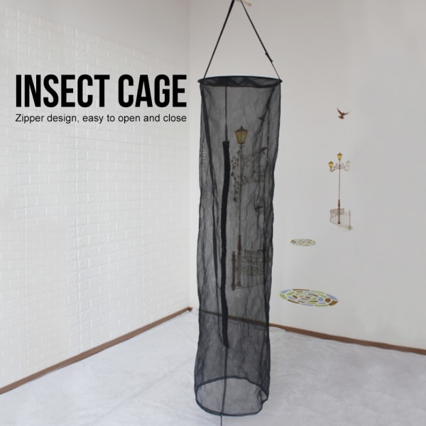 Svart hopfällbar hängande insektsbur Ljusöverföring Andningsbart mesh
