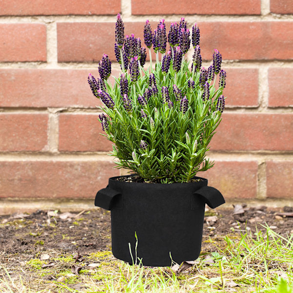 Filtede planteposer til vægophængning - grøn væghave blomster plantesæk - sort [2 Gallon] 20D*20H/34g til salg