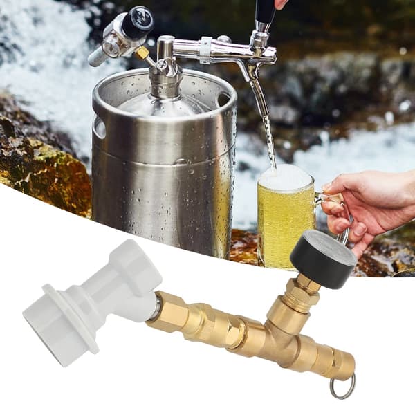 Trykregulator Måler Ventil 0-30PSI Hvidt Stik til Brygningsudstyr