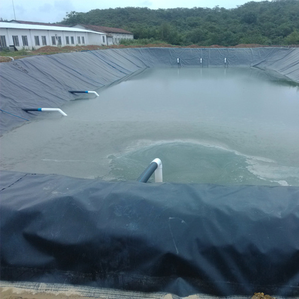 (3*3M) dammduk dammfolie trädgårdspoolsfolie fiskdamm pool lutningsskydd anti-läckagemembran HDPE-material
