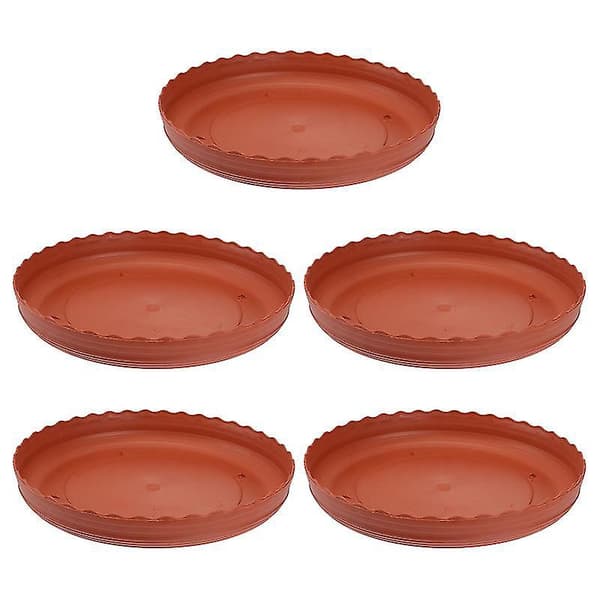5 stk. sukkulent plantepotter base