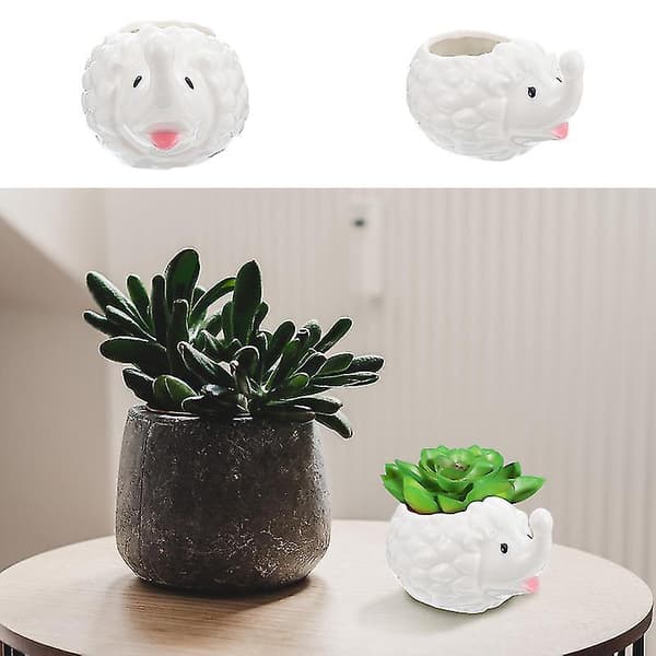 Den Nye 1 stk Mini Bonsai Blomsterpotten