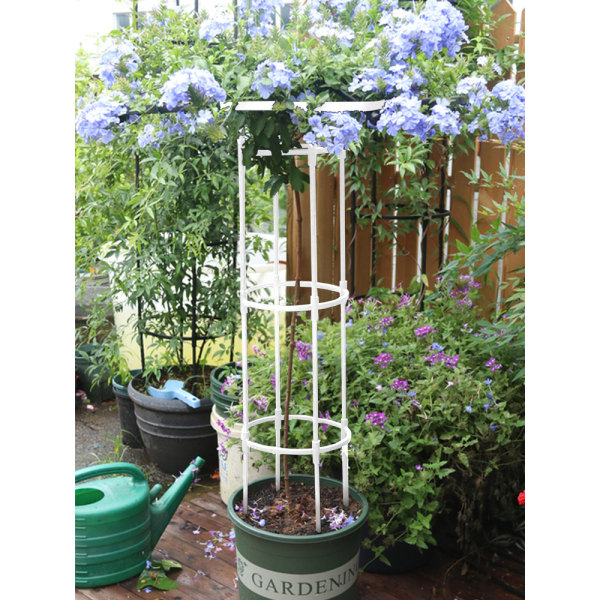 Samlet paraplyformet blomsterstand og pergola - hvid, total højde 210 cm, diameter 25 cm