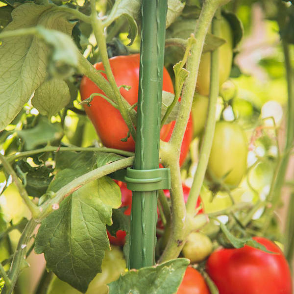 12 stk. tomatobur-gitterstativ-forbindelser (grøn) (enkelt længde 25,4 cm)